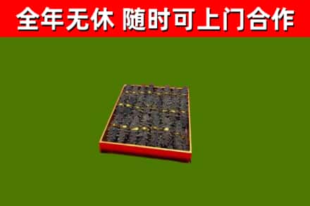 沙市区回收海参